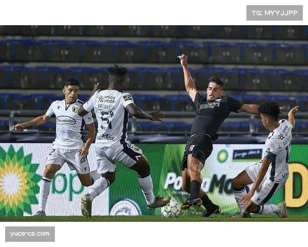 法马利康主场战斗力分析,曾逼平多支强队 法马利康主场战斗力分析,曾逼平多支强队